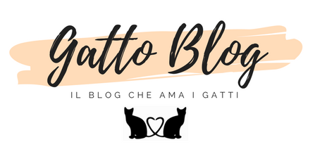 Gatto Blog